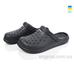 Кроксы Golden Lion